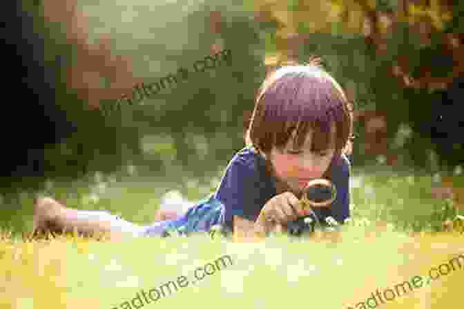 A Child Exploring A Vibrant Forest, Eyes Filled With Wonder And Curiosity, Embracing The Beauty Of The Natural World. The Small House Jay Shafer