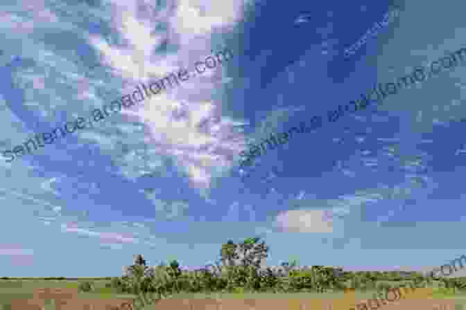 A Cirrus Cloud Formation Over The Everglades Visions Of Clouds: The Amazing Cloud Formations Of Florida