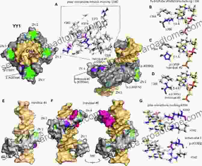 A Close Up Depiction Of A Protein Binding Site, Highlighting Its Intricate Structure And Key Features. The Discreet Charm Of Protein Binding Sites