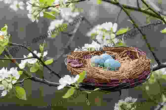 A Cozy Bird's Nest Nestled In The Branches Of A Tree. ABC Transportation Book: Alphabet From A To Z For Preschool (ABC 2)