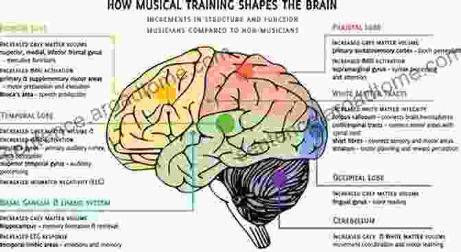 A Diagram Illustrating The Complexities Of The Human Mind, With Interconnected Pathways Representing Cognitive Processes, Emotions, Behavior, Consciousness, And The Brain. Understanding The Human Mind: Why We Need Thinking Time