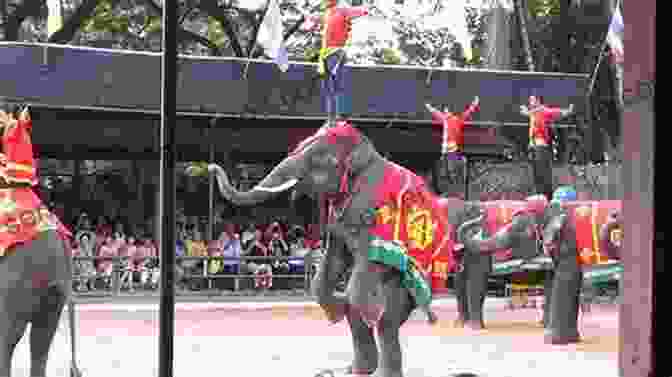 A Group Of People Dancing With Elephants In A Forest The Healing And Love Collection: Dancing With Elephants A More Healing Way Healing Justice