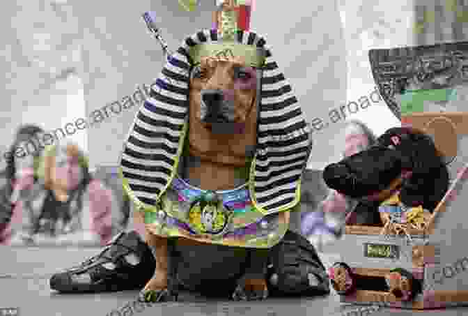 A Group Of Pets Dressed In Colorful Costumes Parade Down A Street Pets On Parade (Pets In A Pickle 2)