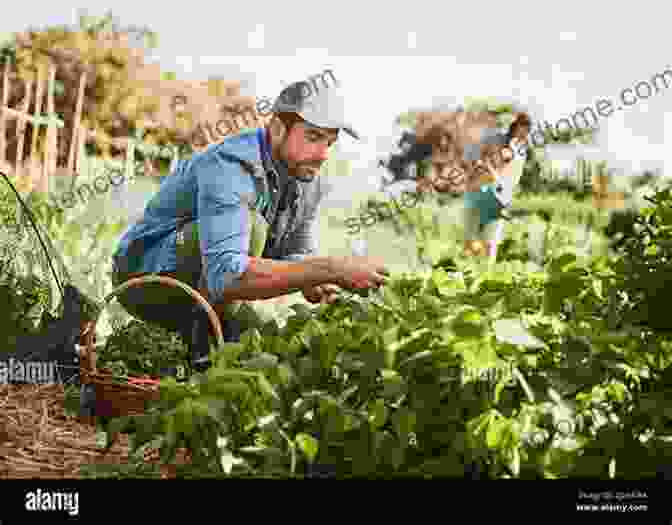 A Hardworking Farmer Reaping The Rewards Of His Labor Learn To Read Chinese 1: Four Classic Folk Tales In Simplified Chinese 540 Word Vocabulary Includes Pinyin And English