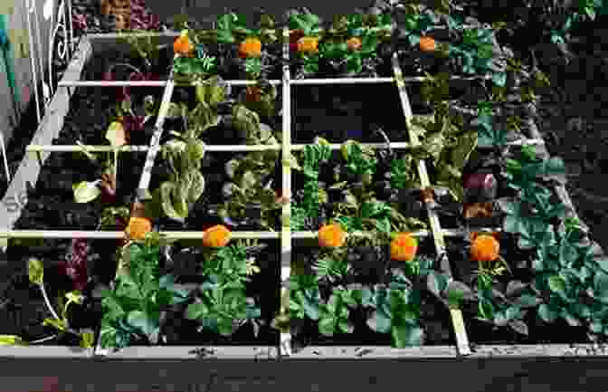 A Meticulously Organized Square Foot Garden With Thriving Vegetables Square Foot Gardening And Compost 101 2 Bundle: How To Build And Get The Best Results From Your SFG