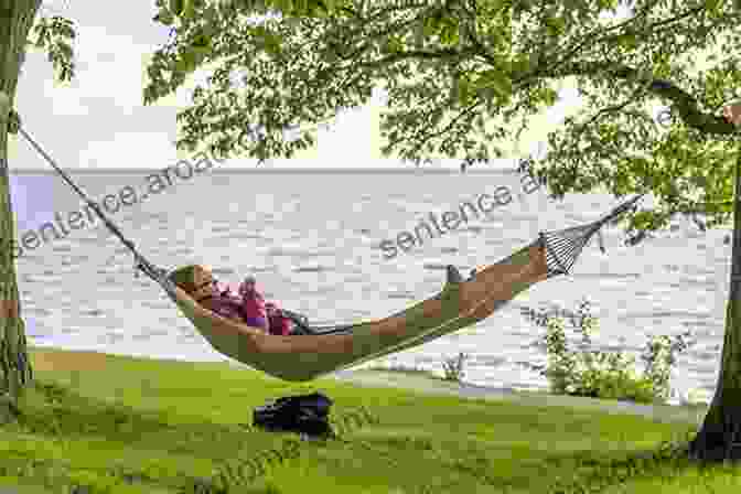 A Person Relaxing In A Hammock Funny Books: 750 Mind Blowing Life Hacks You Never Knew : An EZ Hacktastic List To Up Your + Health + Productivity + Cashflow + Comfort (Oddball Interests 4)