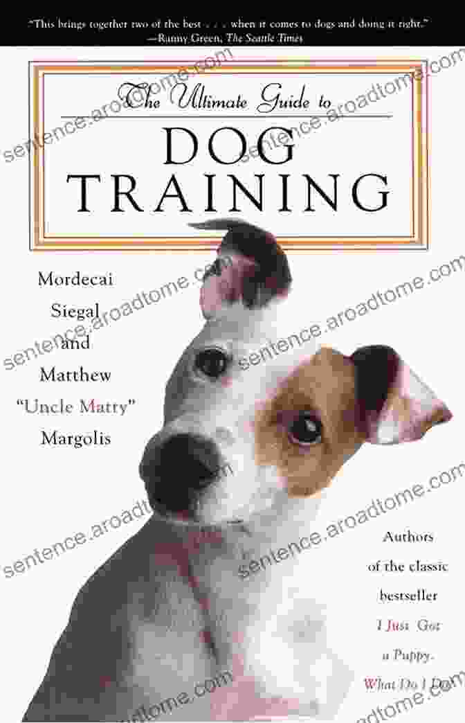 A Photo Of A Dog Training Book Dog Training Lessons: Skills To Train A Dog For Kids: How To Train A Dog