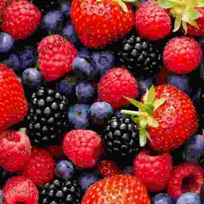 A Photo Of Strawberries, Raspberries, Blackberries, And Blueberries Growing Berries: How To Grow Preserve Strawberries Raspberries Blackberries Blueberries Gooseberries Redcurrants Blackcurrants Whitecurrants (Food Preservation)