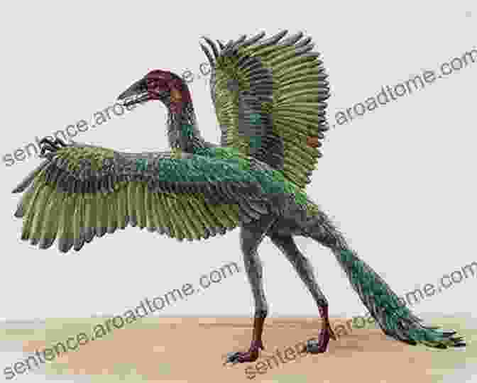 A Reconstruction Of The Extinct Archaeopteryx, Showcasing Its Transitional Features Between Dinosaurs And Birds. The Evolution Of The Skeletal Bird