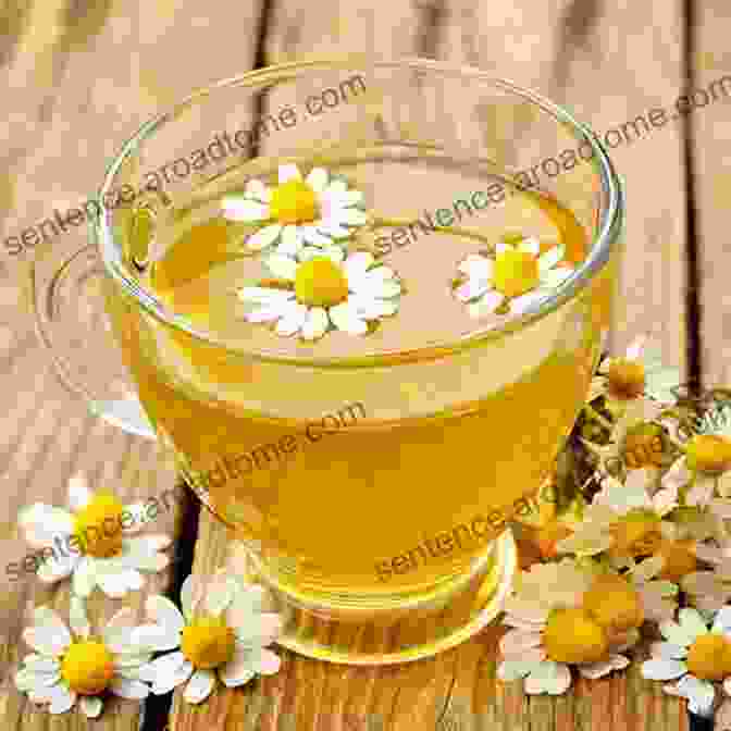 A Steaming Cup Of Chamomile Tea With Dried Chamomile Flowers Scattered Around It Healing Teas: A Practical Guide To The Medicinal Teas Of The World From Chamomile To Garlic From Essiac To Kombucha