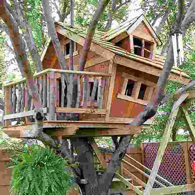 A Step By Step Guide To Building A Treehouse, Showcasing The Construction Process And Techniques. My Cool Treehouse: An Inspirational Guide To Stylish Treehouses