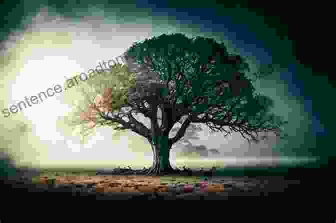 A Tall And Majestic Tree Reaching Towards The Sky. ABC Transportation Book: Alphabet From A To Z For Preschool (ABC 2)