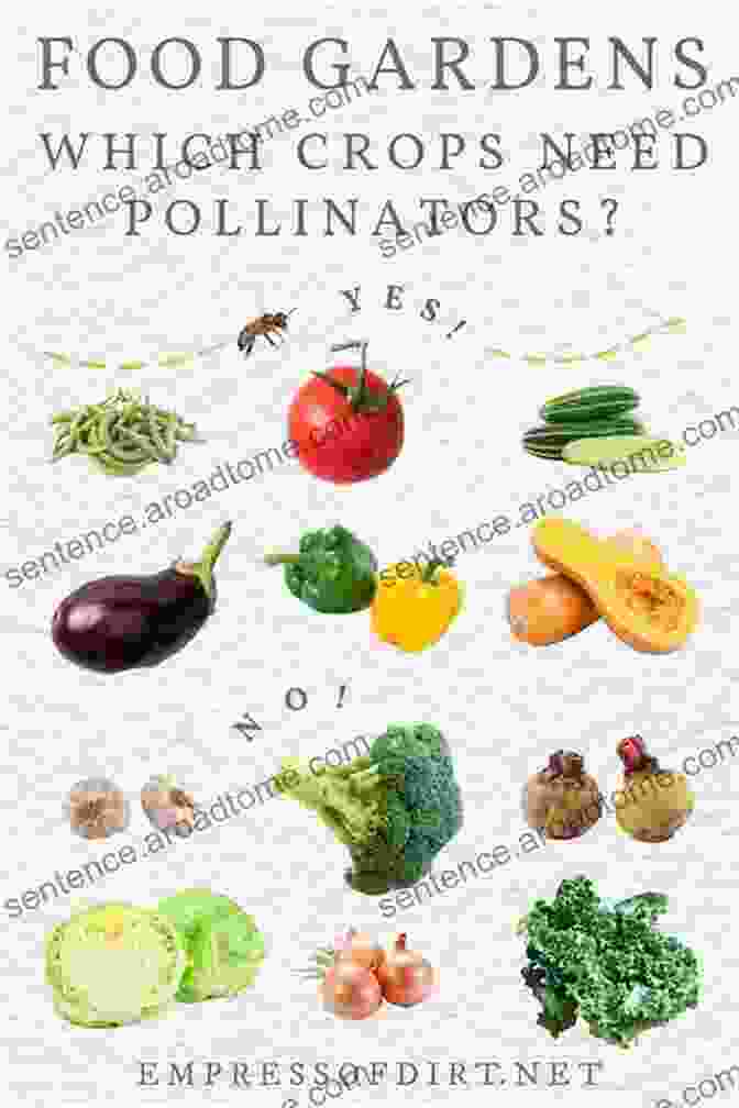 A Variety Of Fruits And Vegetables That Depend On Pollinators Birdwatching For Kids: Looking For Pollinators (Children S Bug For Toddlers)