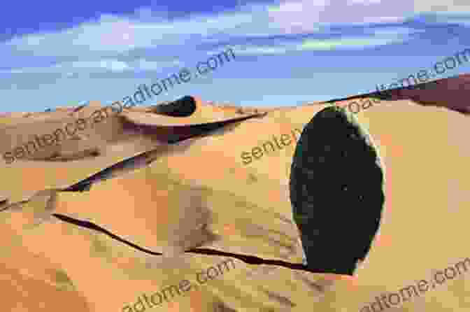 A Vast And Arid Desert With Sand Dunes And A Few Scattered Plants. An Ocean Of Animals (Habitats Around The World)