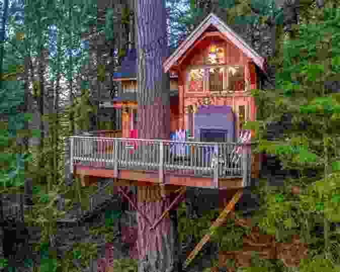 Amazing Space Treehouse Exterior With A Wrap Around Deck And Floor To Ceiling Windows, Featured In More Amazing Spaces. George Clarke S More Amazing Spaces