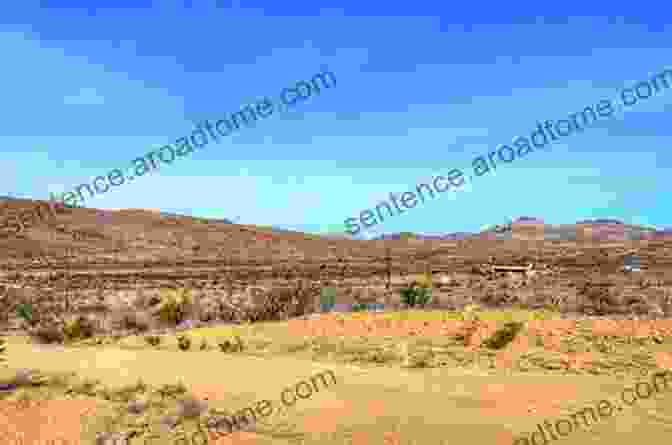 An Aerial View Of The Vast And Remote Desert Landscape Of Big Bend National Park Marfa Flights: Aerial Views Of Big Bend Country (Tarleton State University Southwestern Studies In The Humanities 26)