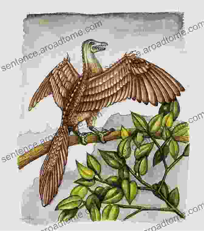 An Illustration Of An Early Proto Bird, Showcasing Its Reptilian And Avian Features. The Evolution Of The Skeletal Bird