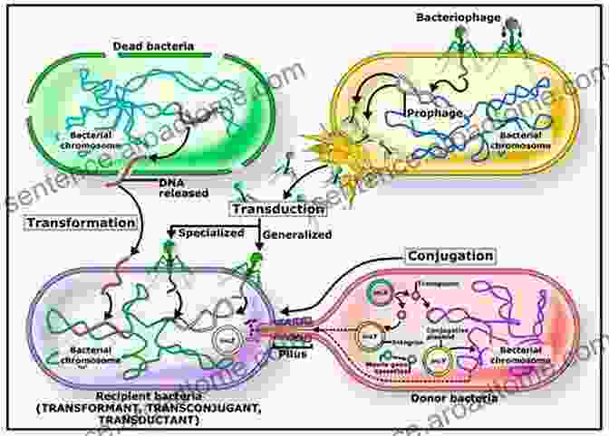 An Image Of Bacteria Labeled With Antibiotic Resistance Genes Kids With Cystic Fibrosis: A Great Role Model For Children With Cystic Fibrosis: Update On Key Emerging Challenges In Cystic Fibrosis