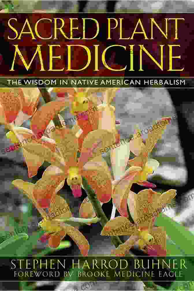 Ayahuasca Journey: A Guide To Understanding And Working With The Sacred Plant Medicine Ayahuasca Journey James K Hallenburg