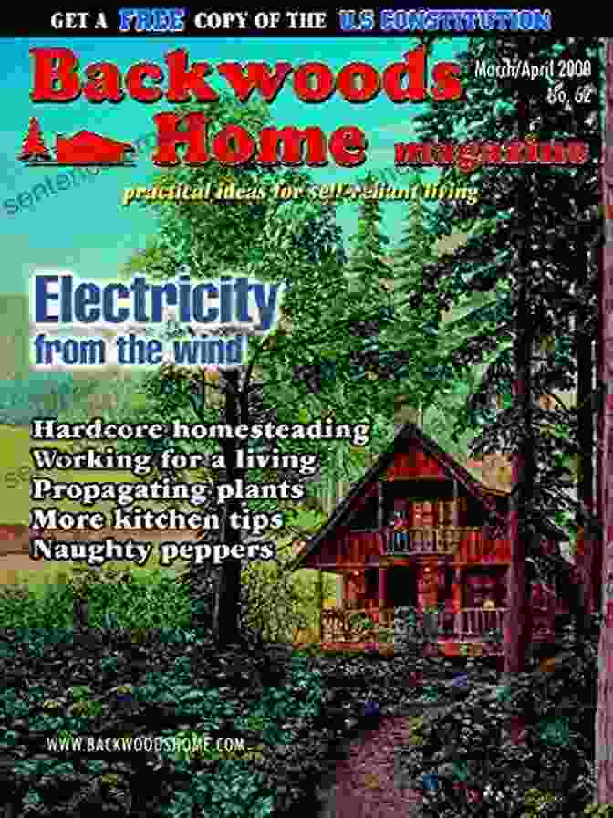 Backwoods Home Magazine 62 Mar Apr 2000 Cover Art Backwoods Home Magazine #62 Mar/Apr 2000