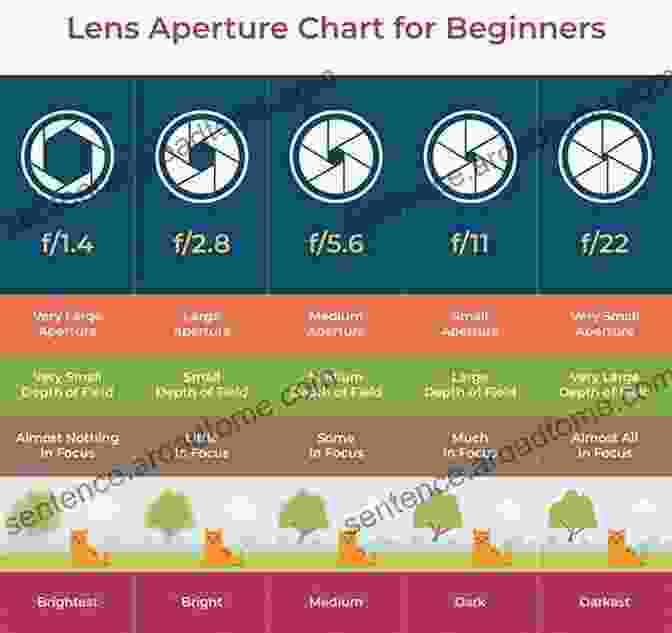 Camera Settings Explained Understanding Photography: Master Your Digital Camera And Capture That Perfect Photo