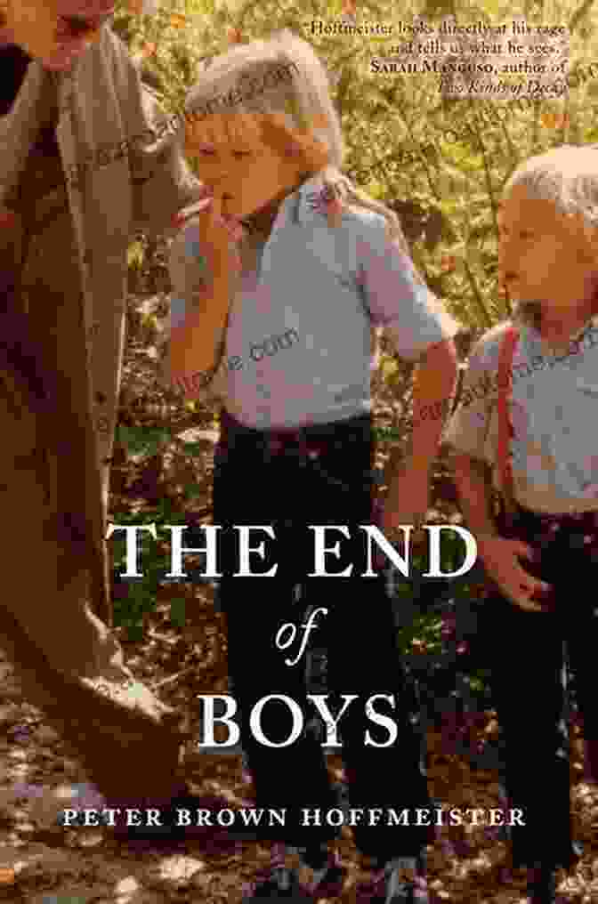 Cover Of The End Of Boys By Peter Brown Hoffmeister The End Of Boys Peter Brown Hoffmeister