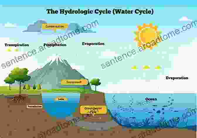 Diagram Depicting The Process Of Evaporation And Condensation In The Water Cycle The Water Cycle (Earth S Processes)