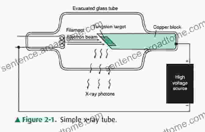 Diagram Illustrating The Production Of X Rays From An X Ray Tube Radiographic Imaging And Exposure E (Fauber Radiographic Imaging Exposure)