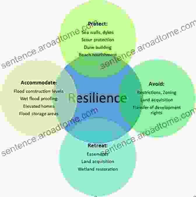 Diagram Of The Resilience Journey, Showcasing The Stages Of Recovery From Adversity Mental Toughness And Stoicism: Develop Emotional Intelligence And Resilience Boost Self Esteem Avoid Overthinking Improved Mental Strength And Stoic Philosophy To Be Successful In Life