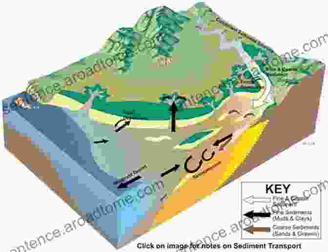 Diagram Showing Sediment Transport Pathways In An Estuary High Resolution Morphodynamics And Sedimentary Evolution Of Estuaries (Coastal Systems And Continental Margins 8)