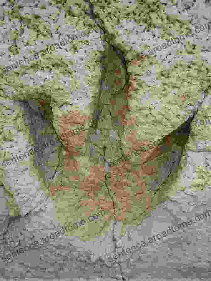 Dinosaur Footprints Preserved In Volcanic Rock At Dinosaur State Park The Lost Volcanoes Of Connecticut