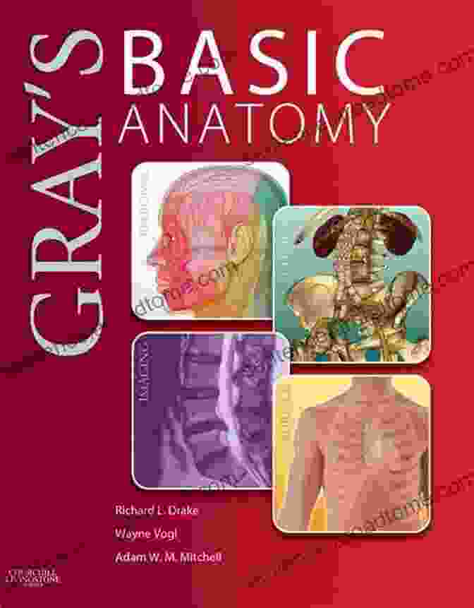 Gray's Basic Anatomy By Richard Drake Gray S Basic Anatomy Richard Drake