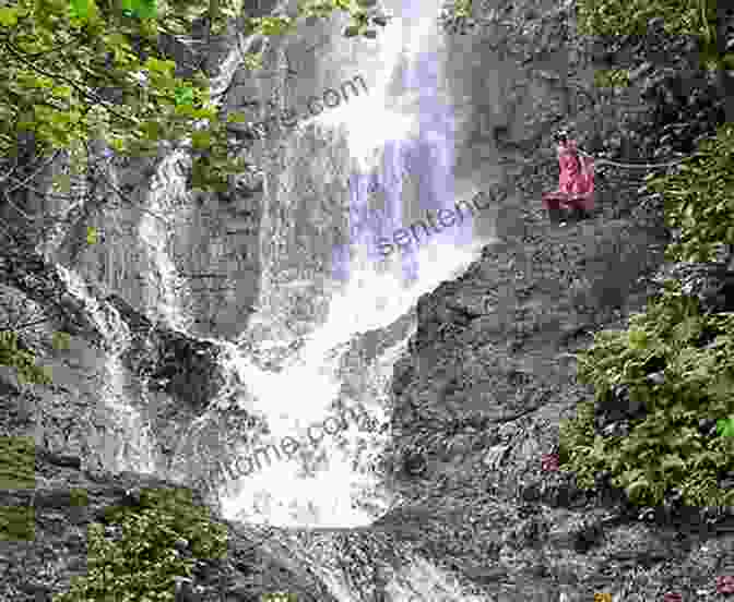 Hikers Marveling At A Secluded Waterfall On A Hidden Trail Peninsula Trails: Hiking And Biking Trails On The San Francisco Peninsula