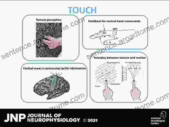 Illustration Of A Hand Interacting With A Tactile Display, Showing Pressure And Vibration Patterns Tactile Sensing And Displays: Haptic Feedback For Minimally Invasive Surgery And Robotics