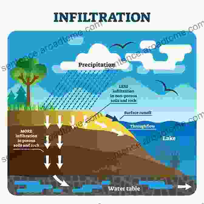 Illustration Showcasing Various Forms Of Precipitation And The Process Of Infiltration The Water Cycle (Earth S Processes)