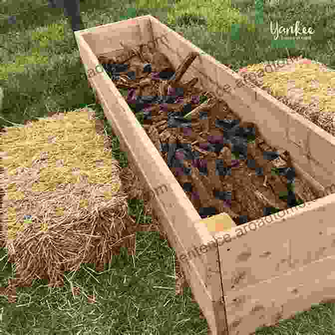 Image Of A Raised Hugelkultur Bed Filled With Logs And Organic Matter HUGELKULTUR 11 New And Expanded 2nd Edition How To Re Purpose Old Timbers And Garden Litter To Grow Vegetables Including Hot Tips On Companion Planting (No Dig Gardening Techniques)