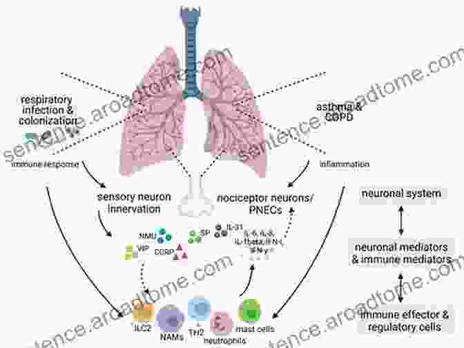 Inflammatory Cells And Mediators In Bronchial Asthma Inflammatory Cells And Mediators In Bronchial Asthma (Handbooks In Pharmacology And Toxicology 1)