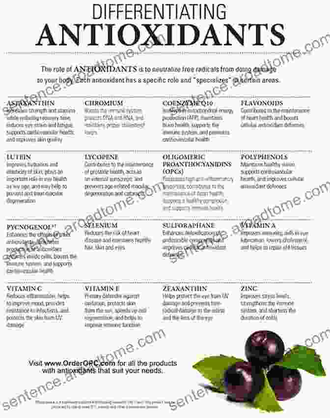 Infographic Showcasing Different Types Of Antioxidants Every Person S Guide To Antioxidants