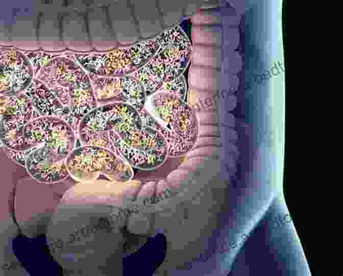 Intricate Network Of Gut Microbes Restoring Your Intestinal Flora: The Key To Digestive Wellness