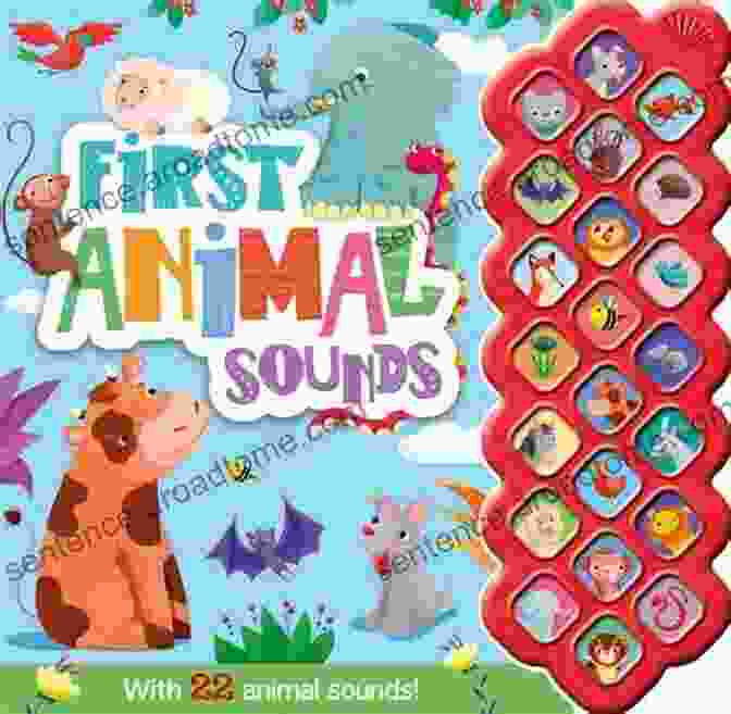 My Sound Box Book With Interactive Sound Buttons My E Sound Box (Sound Box Books)