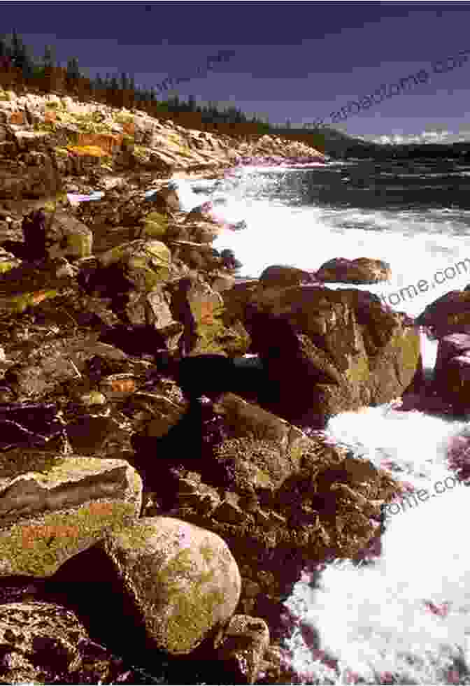 Panoramic View Of Acadia National Park's Iconic Shoreline, Featuring Towering Granite Cliffs, Pristine Beaches, And Crashing Waves. The Sacred Shore (Song Of Acadia #2)