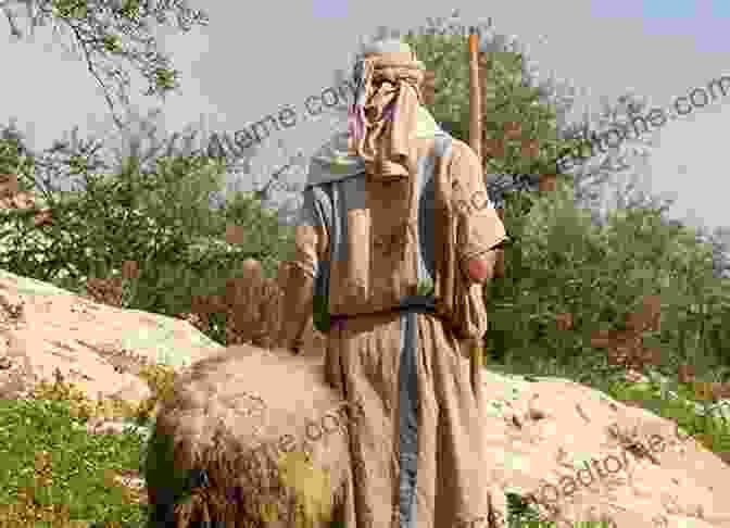 Picture Of A Shepherd With Sheep, Illustrating The Biblical Hebrew Word For Biblical Hebrew Picture Dictionary Silvia Congost Provensal