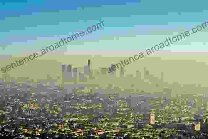 Smog And Pollution In The Air Above A City Pesticides Organic Contaminants And Pathogens In Air: Chemodynamics Health Effects Sampling And Analysis