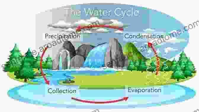 The Water Cycle: Earth Processes Book Cover Featuring A Vibrant Illustration Of The Water Cycle The Water Cycle (Earth S Processes)