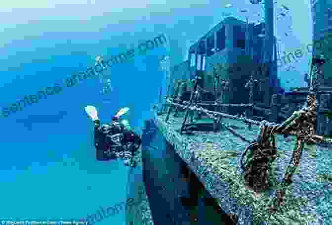 Underwater Photo Of Diver Exploring Shipwreck Diver S Guide: Vancouver Island South