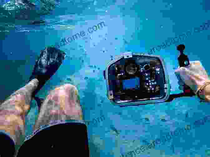 Underwater Photo Of Diver With Camera Diver S Guide: Vancouver Island South