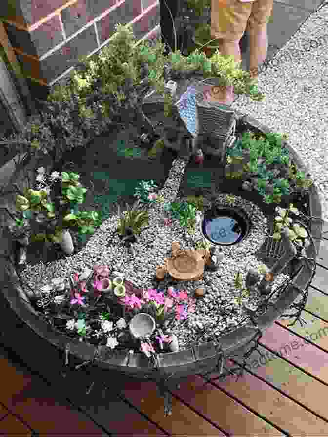 Variety Of Small Plants In A Fairy Garden Fairy Gardening: Creating Your Own Magical Miniature Garden