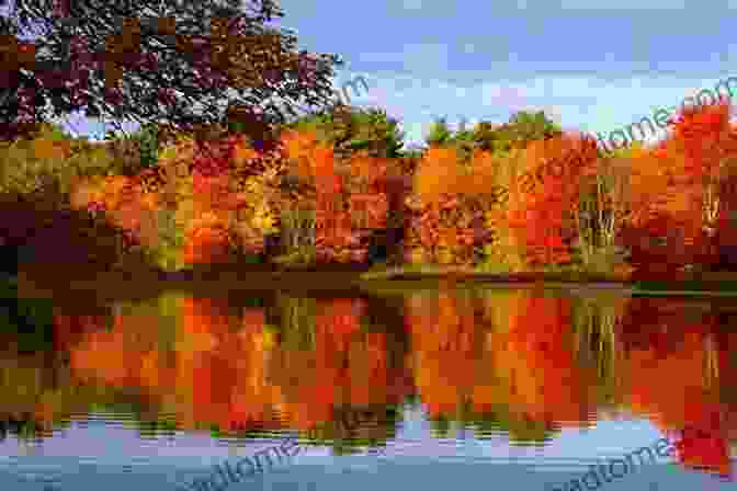 Vibrant Autumn Colors Reflected On The Lake The Hedges: The Story Of Twelve Precious Acres On Blue Mountain Lake