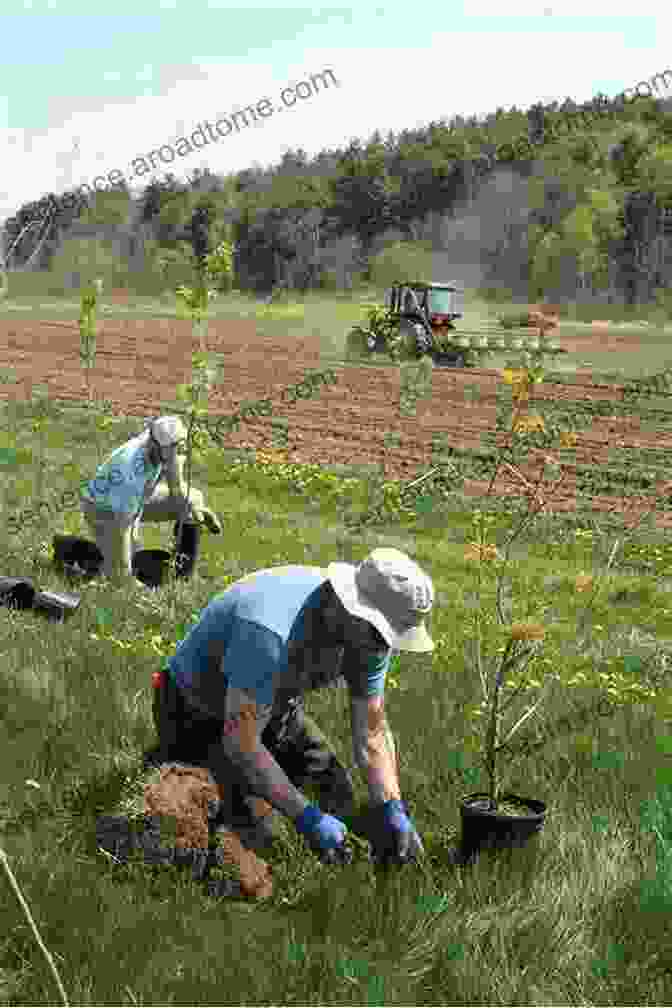 Volunteers Planting Native Vegetation Along The Riverbank, Demonstrating Ongoing Restoration Efforts To Revitalize The Lower San Juan River. River Flowing From The Sunrise: An Environmental History Of The Lower San Juan