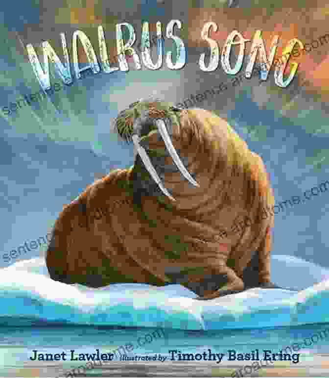 Walrus Song Book Cover Featuring A Woman And A Walrus On A Beach Walrus Song Janet Lawler